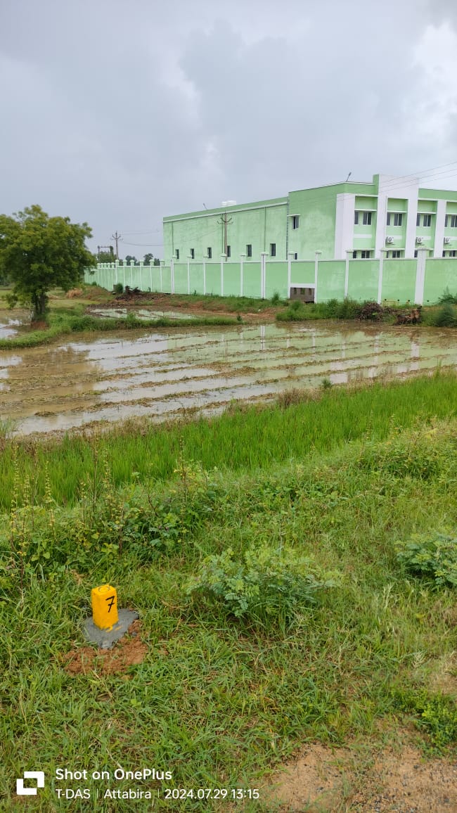 Field survey activity for drainage planning in Atabira and Barpali NAC areas